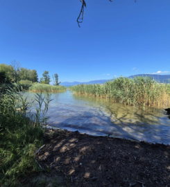 🏖️ Plage de Font I – Estavayer
