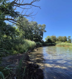 🏖️ Plage de Font I – Estavayer