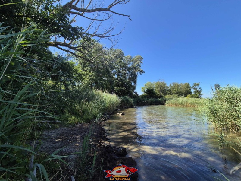 20250712 111715 plage font I