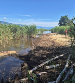🏖️ Plage de Font I – Estavayer