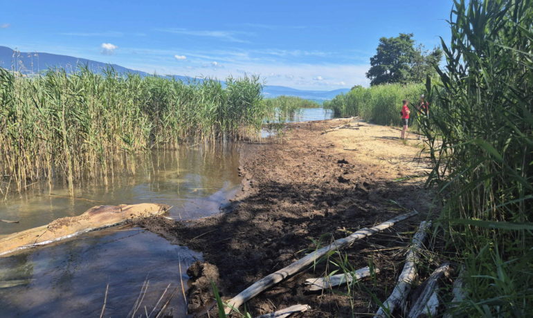 🏖️ Plage de Font I – Estavayer
