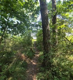 🏖️ Plage de Font I – Estavayer
