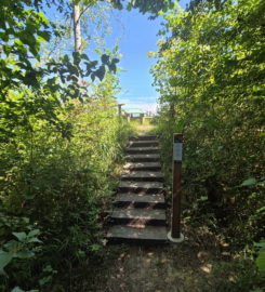 🏖️ Plage de Font I – Estavayer