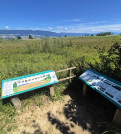 🏖️ Plage de Font I – Estavayer