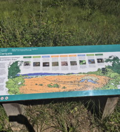 🏖️ Plage de Font I – Estavayer