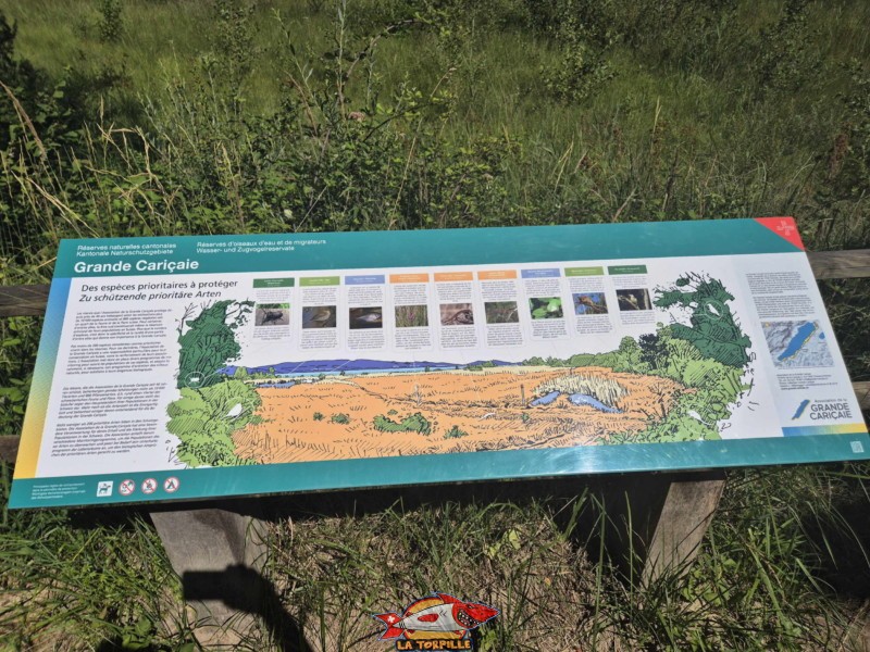 Plateforme paysagère, Grande Cariçaie, Font, Estavayer, Lac de Neuchâtel. Un panneau didactique sur la faune de la Grande Cariçaie.
