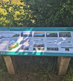 🏖️ Plage de Font I – Estavayer