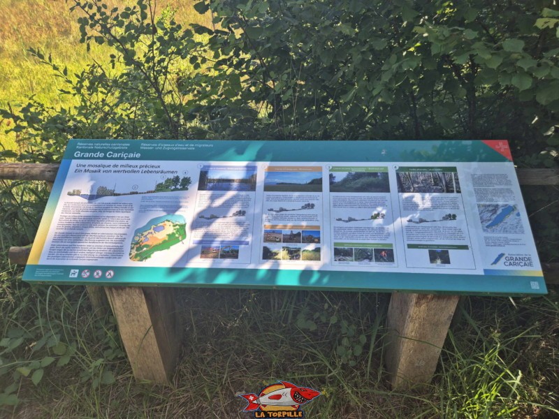Plateforme paysagère, Grande Cariçaie, Font, Estavayer, Lac de Neuchâtel. Un panneau didactique sur la flore de la Grande Cariçaie.