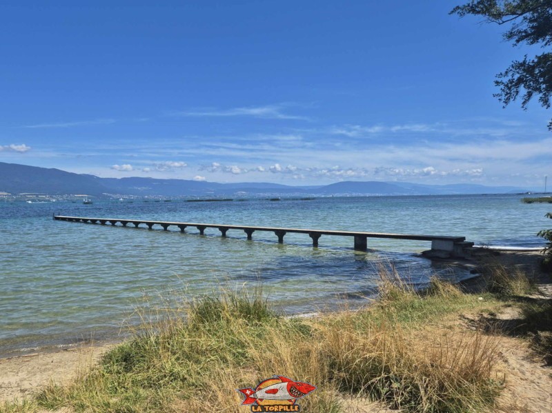 Ponton, plage de Font II, commune d'estavayer, canton de Fribourg, lac de Neuchâtel.
