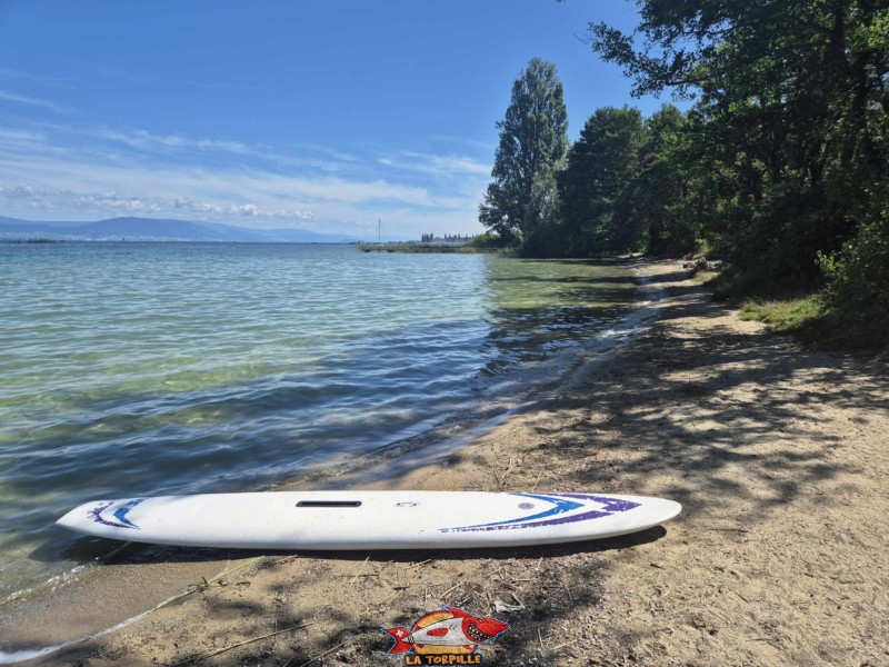 plage de sable, plage de Font II, commune d'estavayer, canton de Fribourg, lac de Neuchâtel.