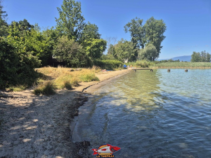 plage de sable, plage de Font II, commune d'estavayer, canton de Fribourg, lac de Neuchâtel.