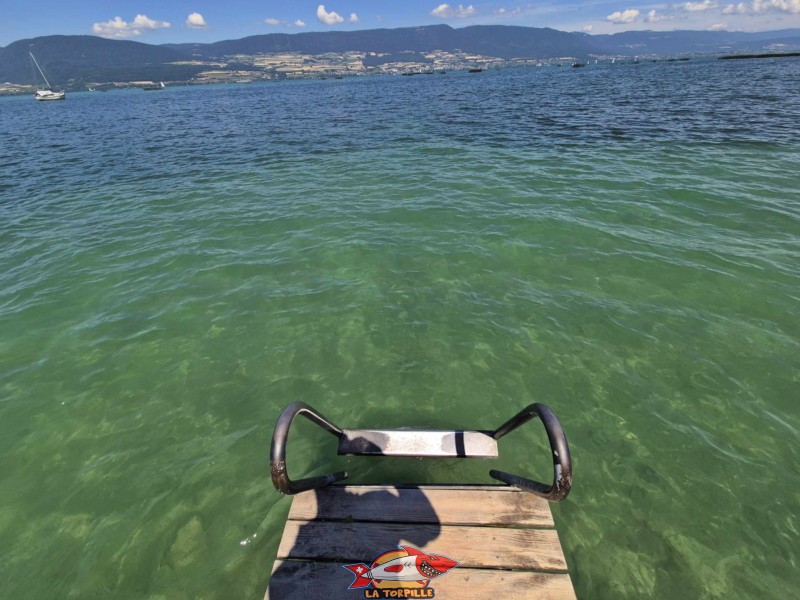 Ponton, plage de Font II, commune d'estavayer, canton de Fribourg, lac de Neuchâtel. L'extrémité du ponton avec une échelle pour entrer dans l'eau.