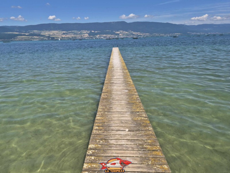 Ponton, plage de Font II, commune d'estavayer, canton de Fribourg, lac de Neuchâtel. Le ponton en direction du lac de Neuchâtel. 
