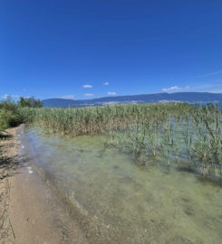 🏖️ Plage de Font II – Estavayer