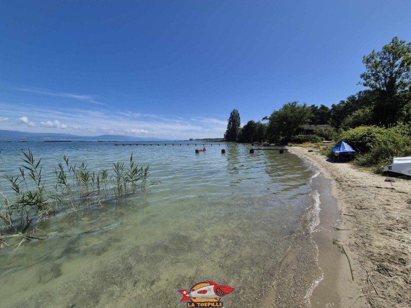 plage de sable, plage de Font II, commune d'estavayer, canton de Fribourg, lac de Neuchâtel.