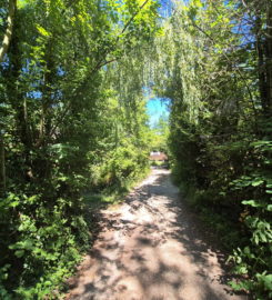 🏖️ Plage de Font II – Estavayer