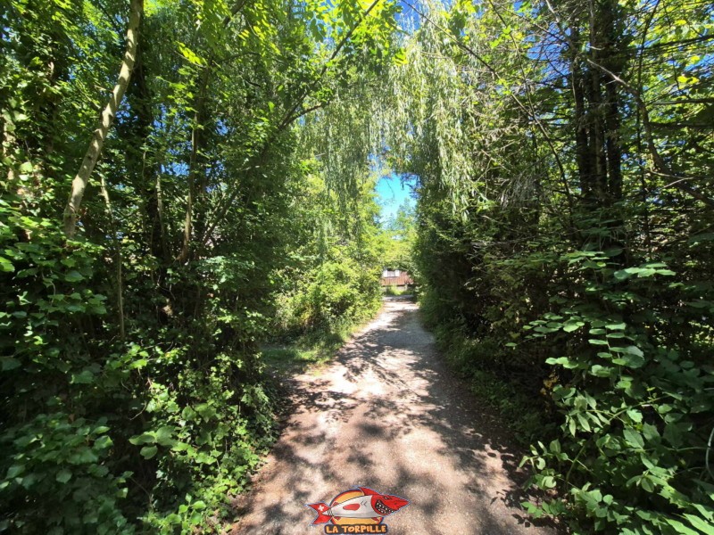 Le chemin qui relie le parking à la plage de Font II.