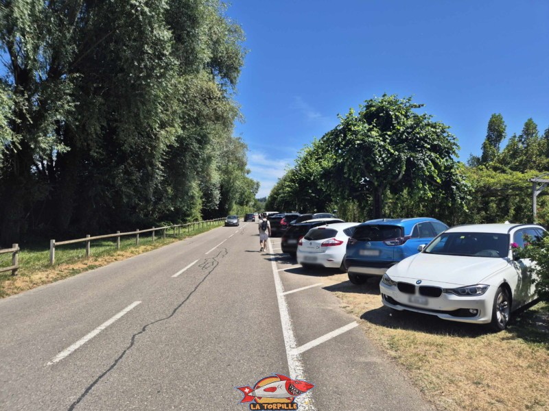 Les places de parking le long de la route de la Plage. Nouvelle plage d'Estavayer.