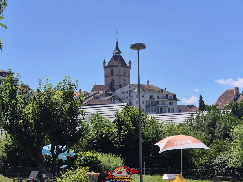 La collégiale St-Laurent depuis le minigolf de la Rose. Estavayer-le-lac