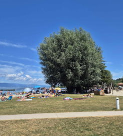 🏖️ Nouvelle Plage d’Estavayer-le-Lac