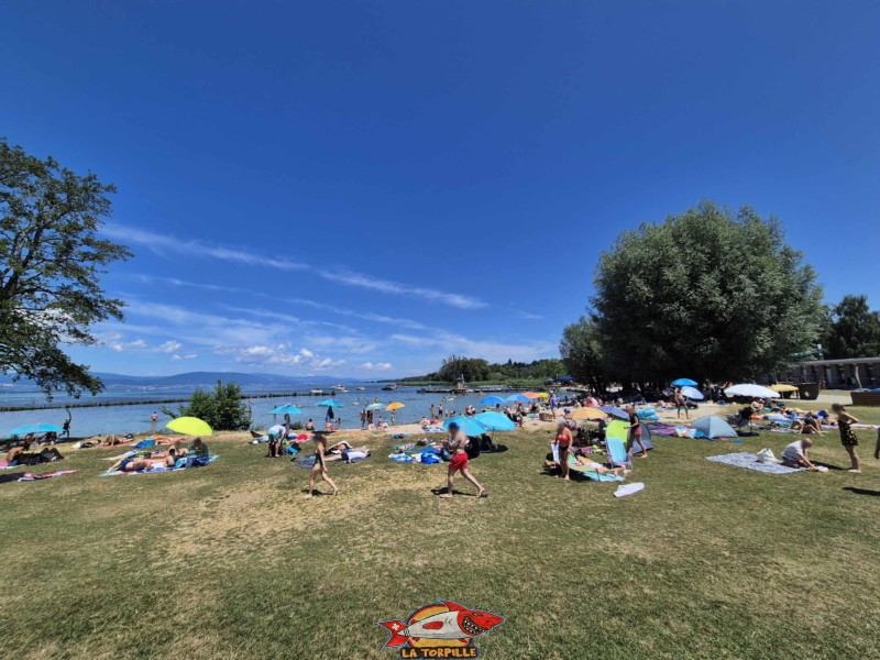 Pelouse, zone est, nouvelle plage d'estavayer-le-lac, canton de Fribourg, lac de neuchâtel
