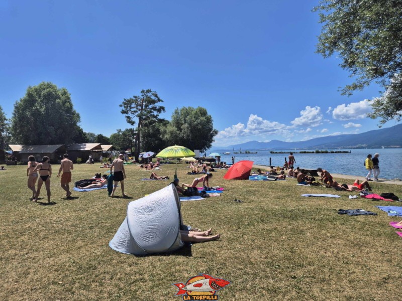 Pelouse, zone ouest, nouvelle plage d'estavayer-le-lac, canton de Fribourg, lac de neuchâtel