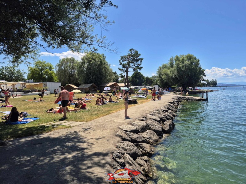 enrochements, nouvelle plage d'estavayer-le-lac, canton de Fribourg, lac de neuchâtel