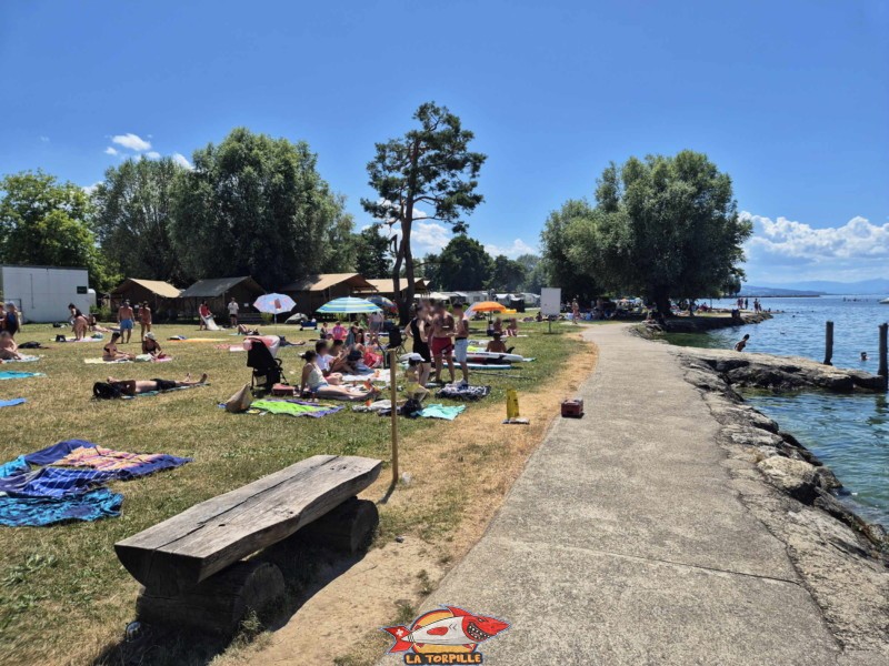 Pelouse, zone ouest, nouvelle plage d'estavayer-le-lac, canton de Fribourg, lac de neuchâtel