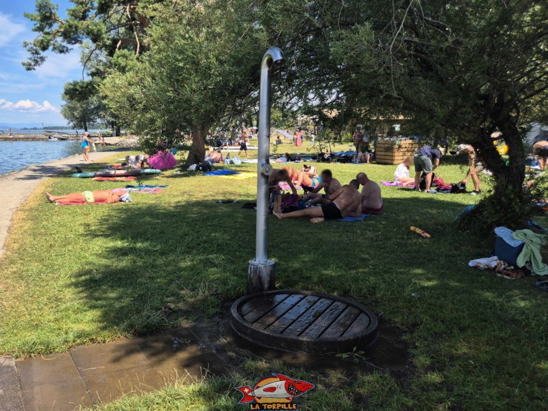 Pelouse, zone ouest, nouvelle plage d'estavayer-le-lac, canton de Fribourg, lac de neuchâtel