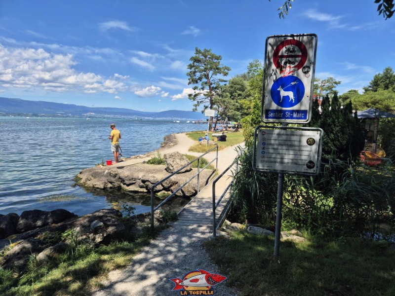 L'entrée depuis l'ouest par la rive du lac et le sentier St-Marc. Nouvelle plage, estvayer-le-lac.