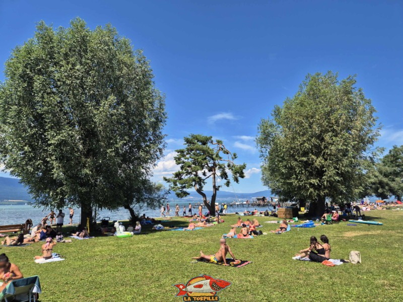 Pelouse, zone ouest, nouvelle plage d'estavayer-le-lac, canton de Fribourg, lac de neuchâtel