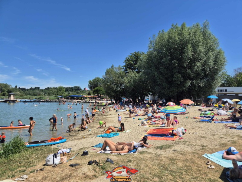 Zone de sable de la nouvelle plage d'estavayer-le-lac, canton de fribourg, lac de neuchâtel.