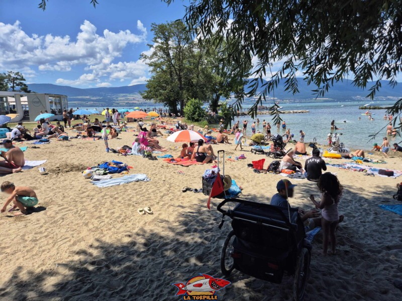 Zone de sable de la nouvelle plage d'estavayer-le-lac, canton de fribourg, lac de neuchâtel.