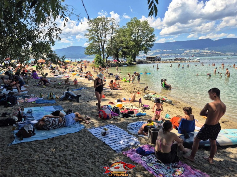 20250712 144744 nouvelle plage estavayer