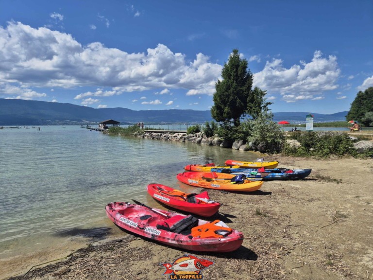 20250712 153553 plage forel