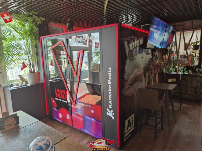 Le Karaoké "The Voice". House Trap Bulle.