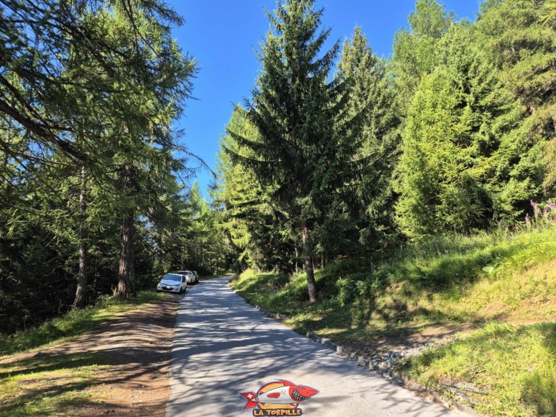 L'emplacement où on laisse sa voiture le long de la route des Mayens. Accès depuis la Crêta d'Asse à Aminona, cascade du Pichiour, crans-Montana.