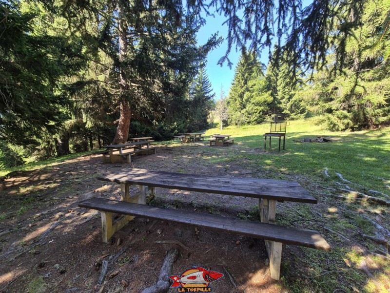 La très belle place de pique-nique avec des grills. Accès depuis la Crêta d'Asse à Aminona, cascade du Pichiour, crans-Montana.