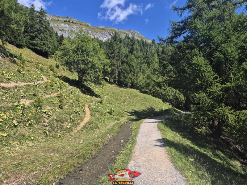 La remontée du bisse du Relais de Colombire à la cave du Scex. Randonnée au bisse du Tsittoret, Crans-Montana, Valais central.