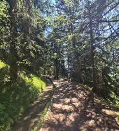 🏞️ Bisse du Tsittoret – Crans-Montana