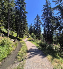 🏞️ Bisse du Tsittoret – Crans-Montana