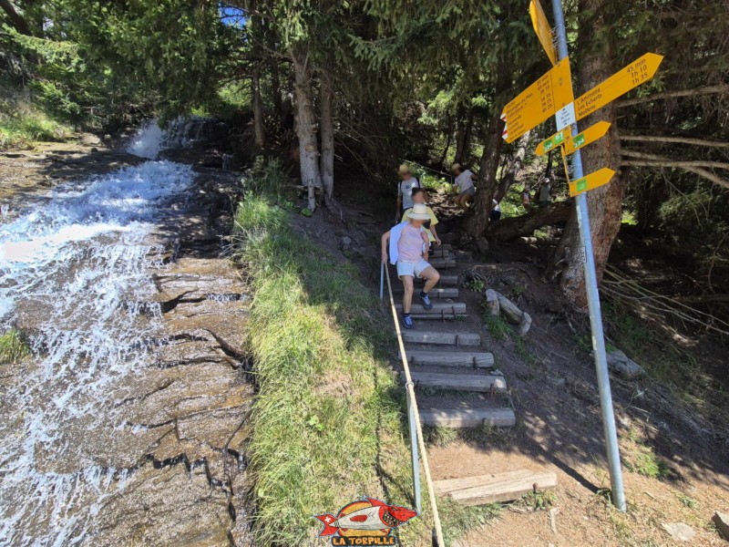 La montée le long du bisse. Randonnée au bisse du Tsittoret, Crans-Montana, Valais central.