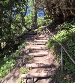 🏞️ Bisse du Tsittoret – Crans-Montana