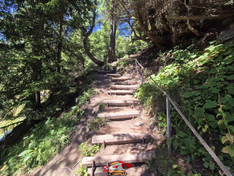 Vallon de la Tièche. Randonnée au bisse du Tsittoret, Crans-Montana, Valais central.