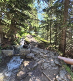 🏞️ Bisse du Tsittoret – Crans-Montana