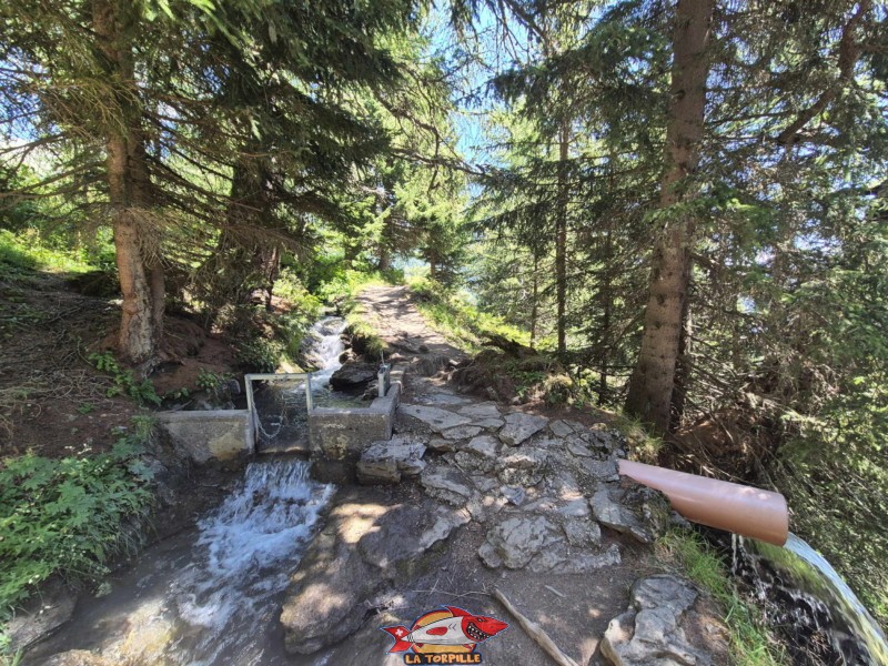 Vallon de la Tièche. Randonnée au bisse du Tsittoret, Crans-Montana, Valais central.