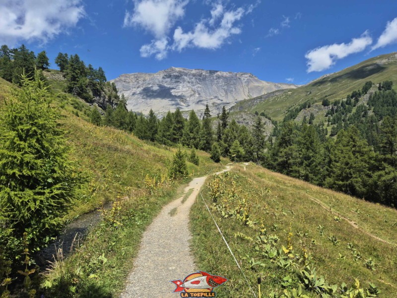 Vallon de la Tièche. Randonnée au bisse du Tsittoret, Crans-Montana, Valais central.