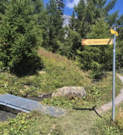 🏞️ Bisse du Tsittoret – Crans-Montana