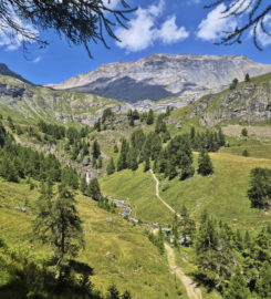 🏞️ Bisse du Tsittoret – Crans-Montana