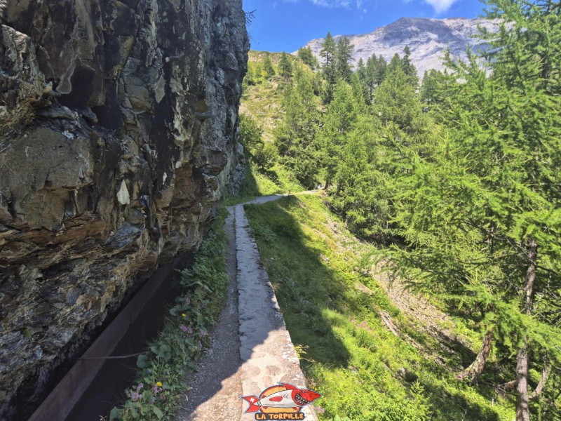 Vallon de la Tièche. Randonnée au bisse du Tsittoret, Crans-Montana, Valais central.